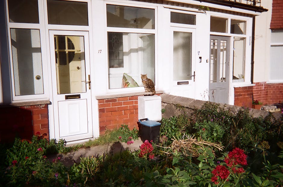 Exterior view of a row of Victorian terrace houses in Tufnell Park, with ornate bay windows and decorative stonework, illuminated by natural daylight. A white van is parked on the street near the curb